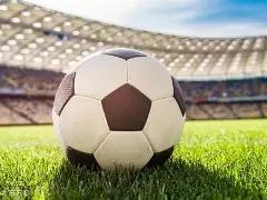 草原霸主对,决沙漠精英,非洲雄狮与,皇冠体育会员登录入口,H5皇冠体育官网,皇冠体育